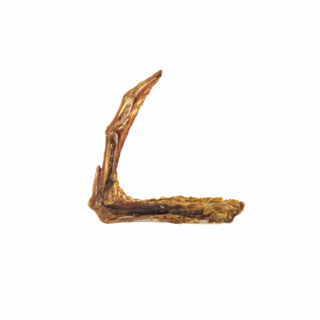 Apalache | Ailes d'oie