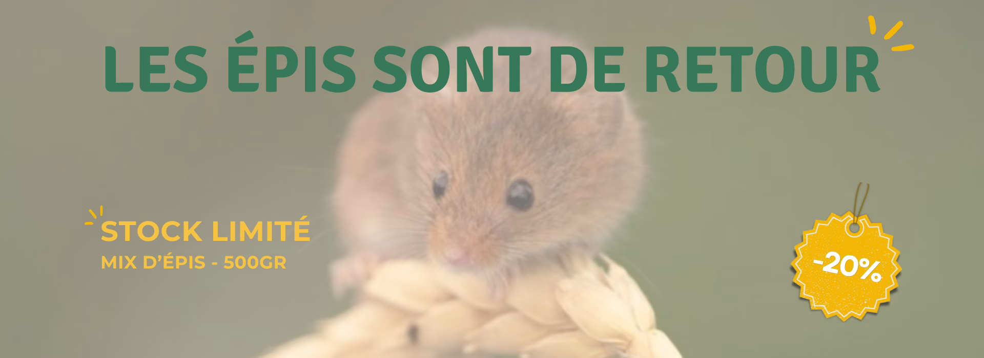 BANNIERE EPIS