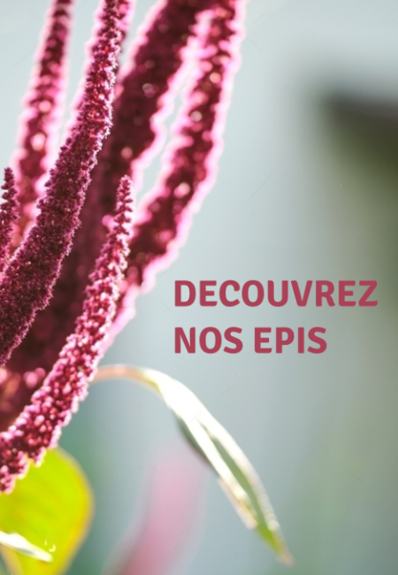BANNIERE_EPIS_MOBILE BANNIERE_EPIS_MOBILE