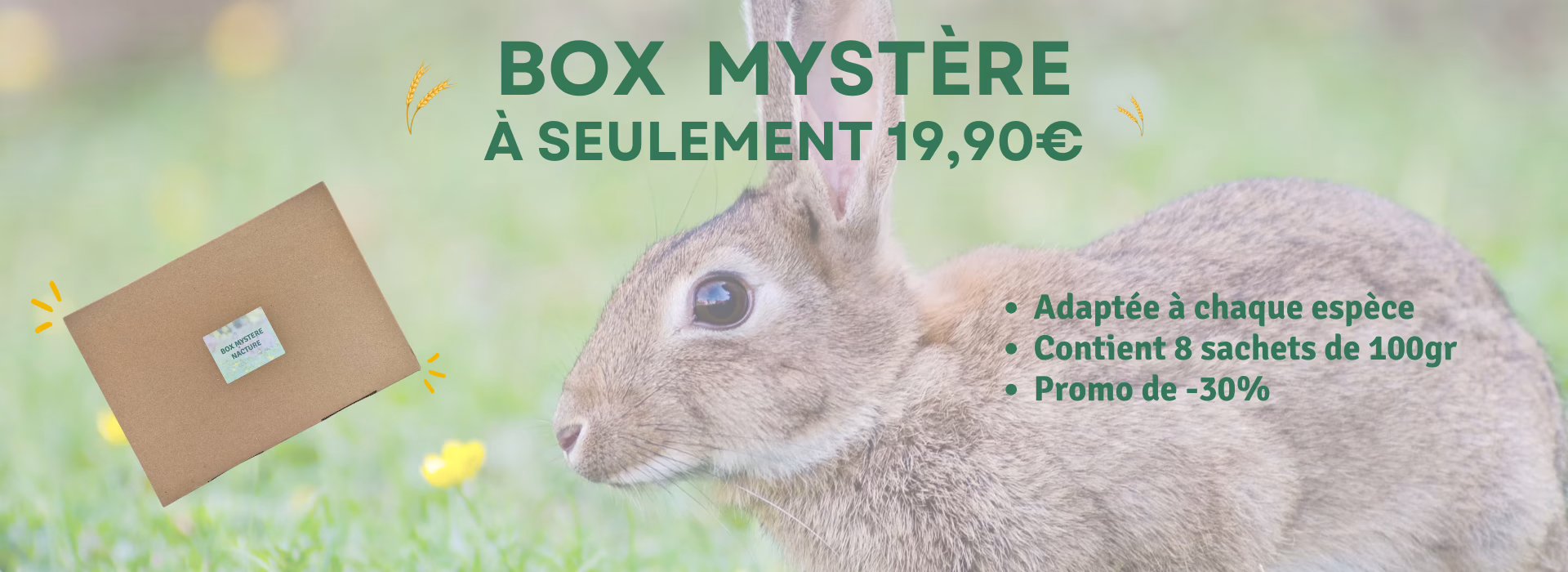 BOX BANIERE BOX BANIERE